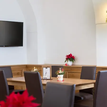 Guest house Zamek *